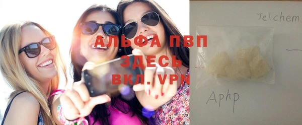 spice Алзамай