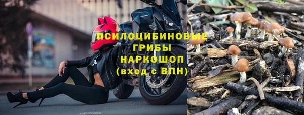соль ск Алексин