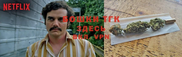 соль ск Алексин