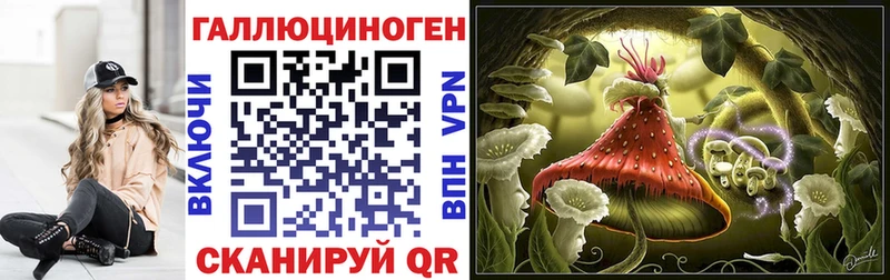 Галлюциногенные грибы Psilocybine cubensis Навашино